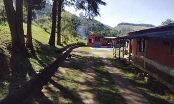 Imagem 4: Vendo sítio(desterro do melo