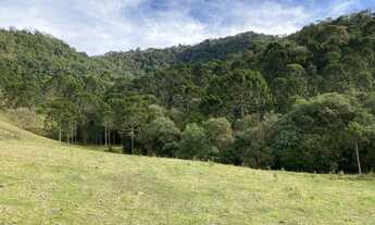 Imagem 2: Belíssimas Chácaras com 2,00 ha Bom Retiro