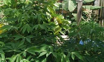 Imagem 4: Vende se uma casa no joao de barro no comeco do barro