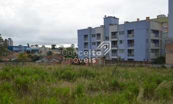 Imagem 6: Terreno - Centro