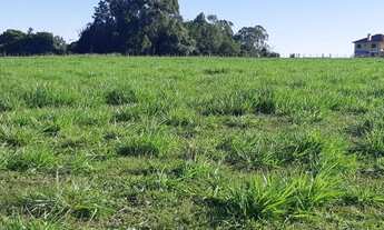 Imagem 7: Santa Maria - Chácara - Boca do Monte