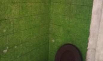 Imagem 6: Salão comercial para alugar em Vila Butantã - São Paulo - SP