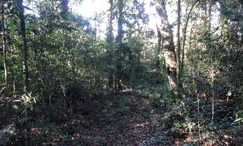 Imagem 7: Chácara 5732 m² - Avencal