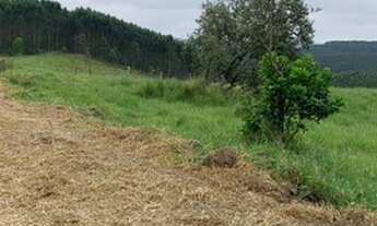 Imagem 6: E03-Terreno rural / invista já