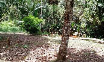 Imagem 4: Sítio de 2 alqueires com duas casas, mata e nascente, próximo a Guaçui-ES