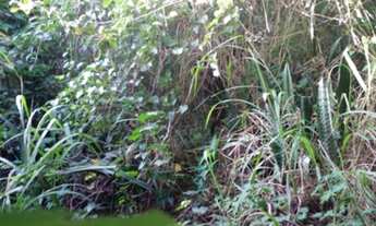 Imagem 3: Área 270 m² (LT 07, QD F) - Paraíso do Morumbi - São Paulo - SP