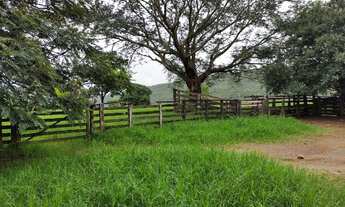 Imagem 4: Fazenda boa para gado