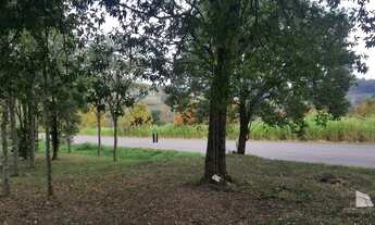 Imagem 2: EXCELENTE AREA PARA SITIO