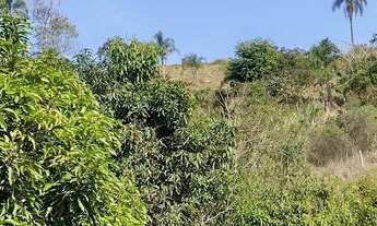 Imagem 2: Chácara 4 mil metros