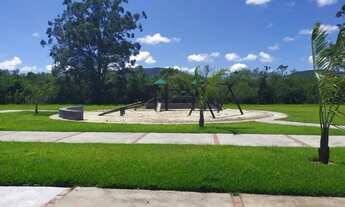 Imagem 4: VIVA COM UMA NATUREZA EXUBERANTE AO SEU REDOR