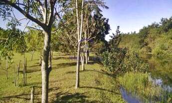 Imagem 4: TERRENO RESIDENCIAL em Florianópolis - SC, Canasvieiras
