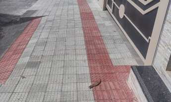 Imagem 2: Ponto comercial/loja/box para alugar em Belo Horizonte