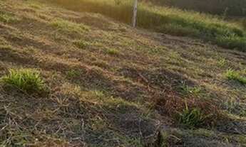 Imagem 7: Lote/Terreno para venda tem 600 metros quadrados em Centro - São Paulo - SP