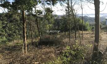 Imagem 4: Amplo terrenos no Santo Antão com vista privilegiada!