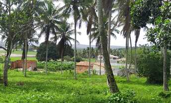 Imagem 2: Terra para chácara