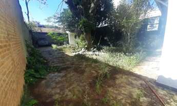 Imagem 6: São Paulo - Casa Padrão - CASA VERDE