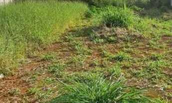 Imagem 4: Lote Rua do Rodobello