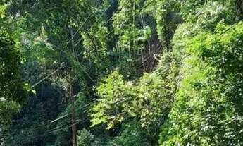 Imagem: Lote de 800 metros quadrados pronto para