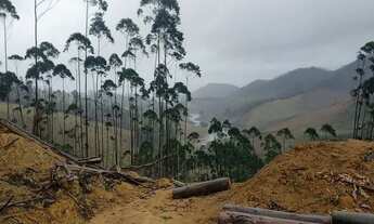 Imagem 2: 1000 metros no Sertão #vista pra represa