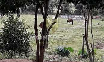 Imagem 7: Chácara a venda em Santo Antônio da Patrulha