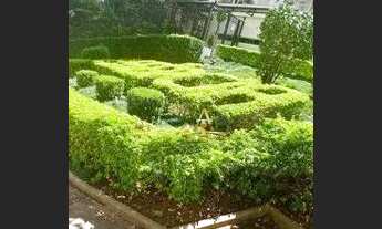 Imagem: Apartamento com 3 suítes para alugar