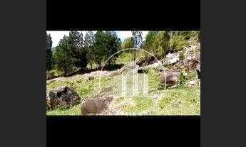 Imagem 5: Terreno á venda no caminho dos açores em floriianópoles