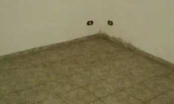 Imagem 5: Casa com 2 dormitórios para alugar, 70 m² por R$ 900,00/mês - Parque Oratório - Santo Andr