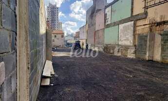 Imagem 5: São Paulo - Terreno Padrão - Mooca