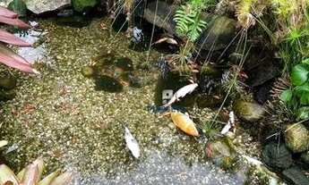 Imagem 5: Casa 5 quartos para locação no João Paulo Florianópolis SC