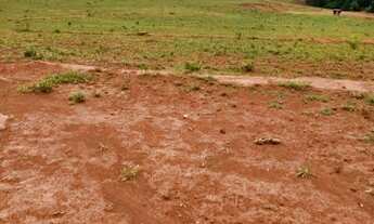 Imagem 10: FAZENDA Á VENDA EM JANGADA-MT!