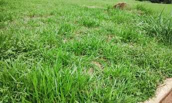 Imagem 6: AREA PARA CONSTRUÇÃO PREDIO 5 ANDARES BONFIM PAULISTA ZONA SUL