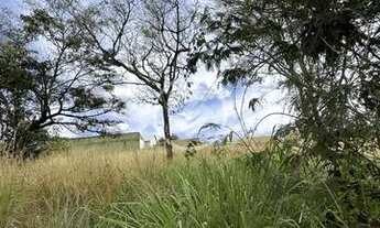 Imagem 2: Terreno em rua - Setor Faiçalville codigo: 30629