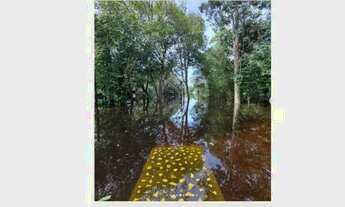 Imagem 5: Terreno com benfeitorias no Tarumã- 100 x 50