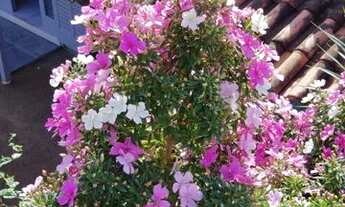 Imagem 2: VENDE- SE CASA Casa com 2 dormitórios