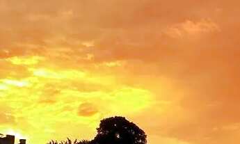 Imagem 2: Apartamento de 2 quartos para alugar no bairro Ipiranga