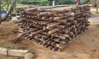 Imagem 3: Pau Escoramento 3 metros