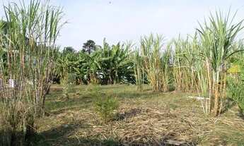 Imagem 2: Casa à venda, 2 quartos, Lajeado - São Paulo/SP