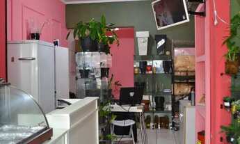 Imagem 5: Vendo cafe e floricultura