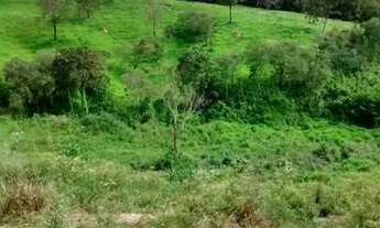 Imagem 2: VendoTerreno 24.000m²