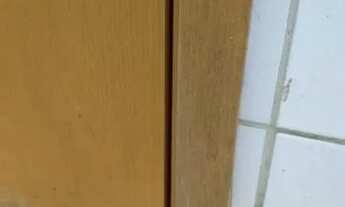 Imagem 3: Aluga-se casa - Bairro das indústrias