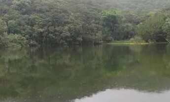 Imagem 2: 24 Alqueires paulistas para pousada 3 milhoes