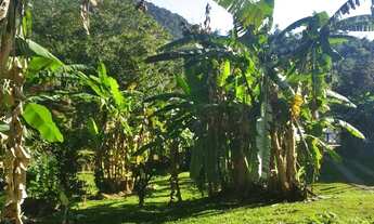 Imagem 3: Terreno a venda/Paraty Grauna