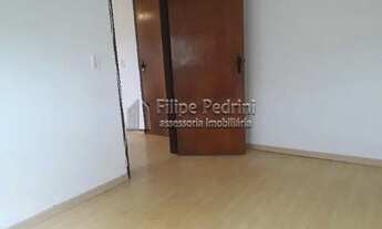 Imagem 5: Porto Alegre - Padrão - Cavalhada