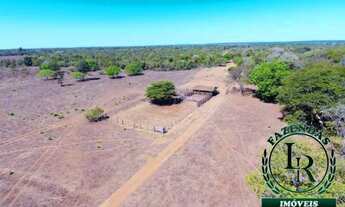 Imagem 3: Fazenda 204 Alqueires 1Km Br. 153