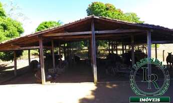 Imagem 6: Fazenda 204 Alqueires 1Km Br. 153