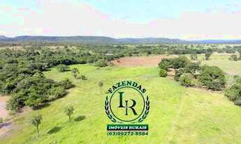 Imagem 6: Fazenda 23 Alqueires Beira Asfalto