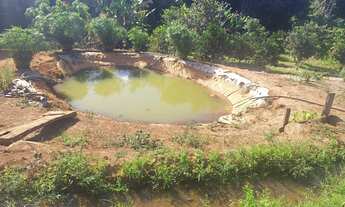 Imagem 4: Chacarra em Goianapolis