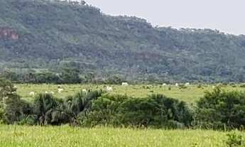 Imagem 4: Fazenda em Campos Lindos. 66 mil por alqueire