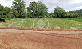 Imagem 4: Chácara chão batido codigo: 83276