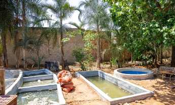 Imagem 7: Chácara a VENDA!